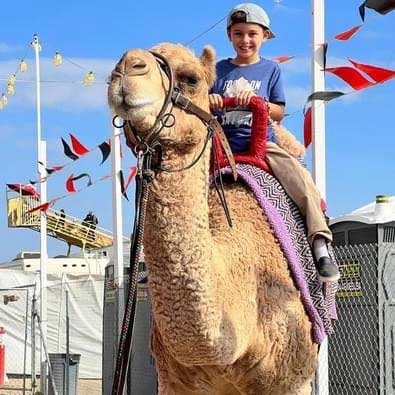 Camel RidesSelect Dates & Times
