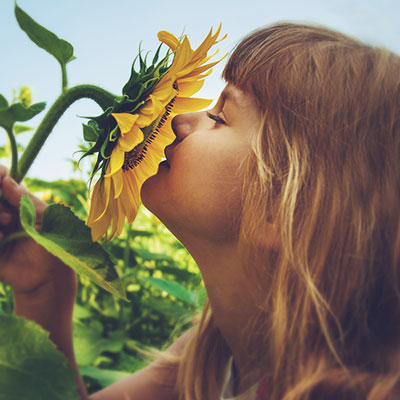 Explore our Sunflower Patch this season for fantastic views and great photography opportunities!